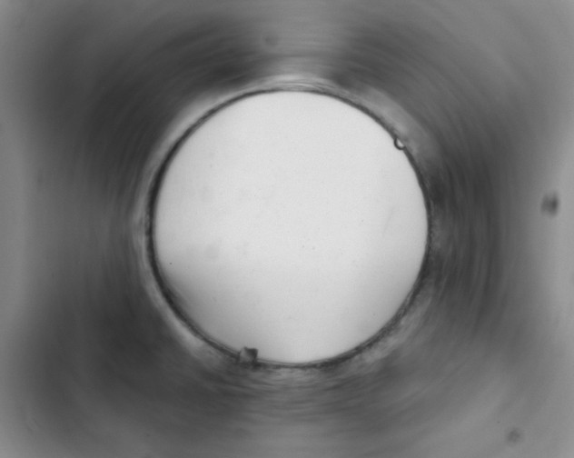 X0000102801430200809150918