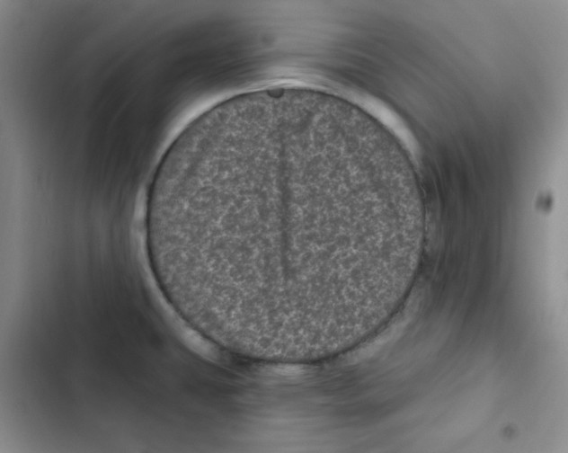 X0000102801431200809150918