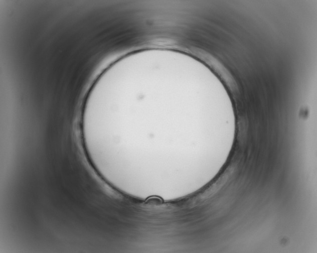 X0000102801432200809150918