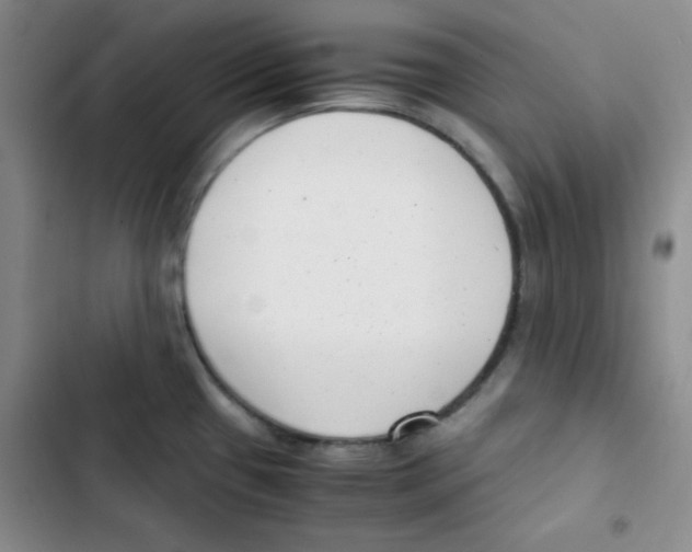 X0000102801433200809150918