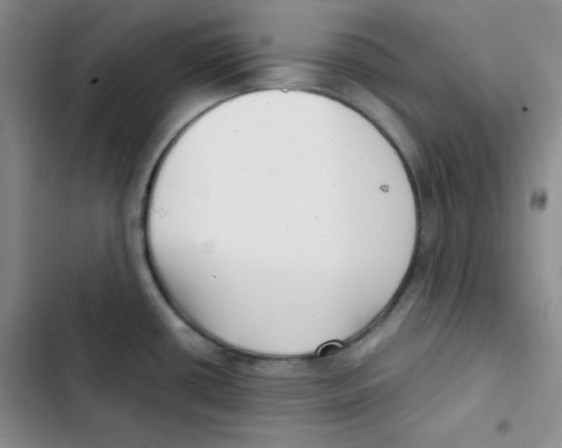 X0000102801434200809150918