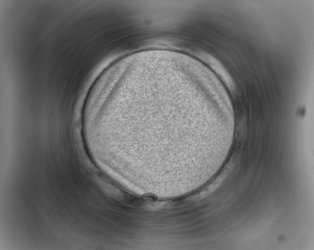 X0000102801435200809150918