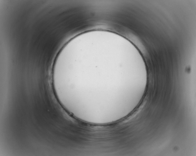 X0000102801436200809150918