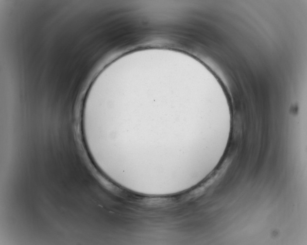 X0000102801437200809150918