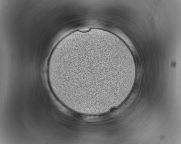 X0000102801439200809150918