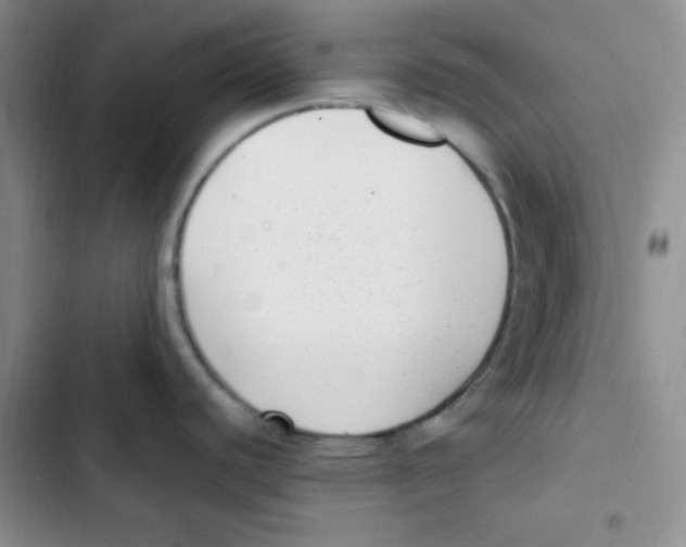 X0000102801440200809150918