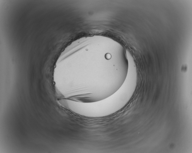 X0000102801441200809150917