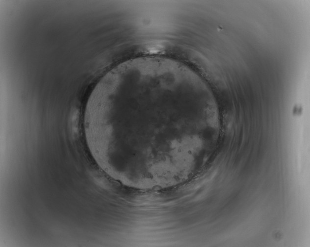 X0000102801442200809150917