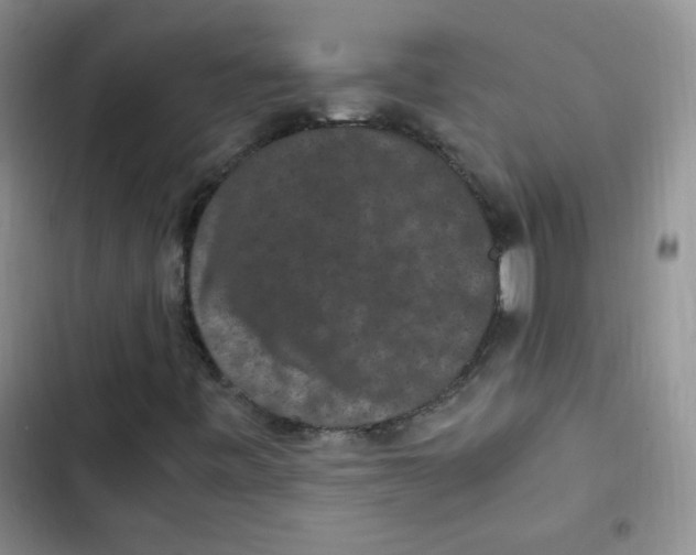 X0000102801443200809150917