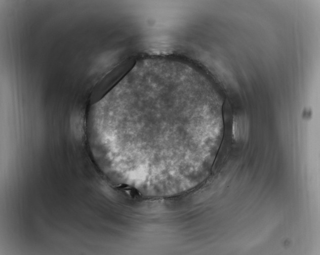 X0000102801444200809150917