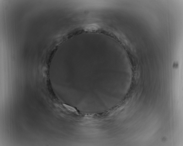 X0000102801445200809150917