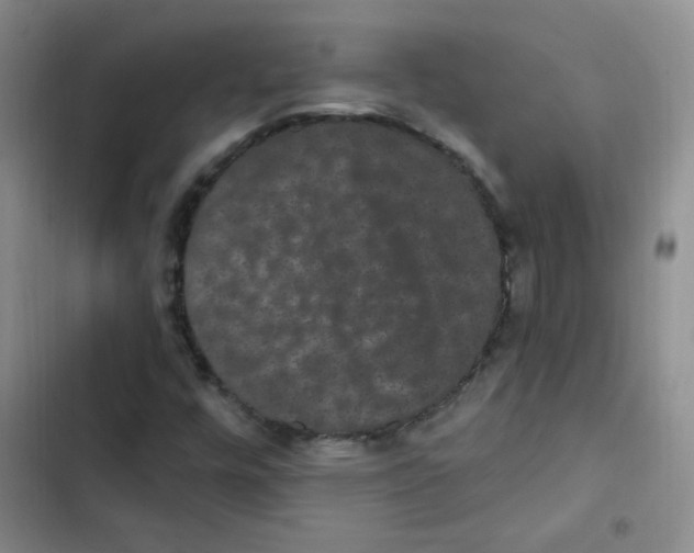 X0000102801448200809150917