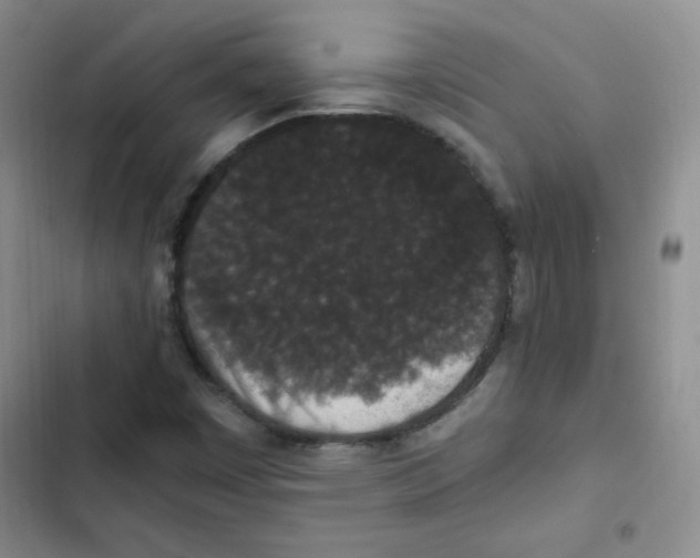 X0000102801449200809150917