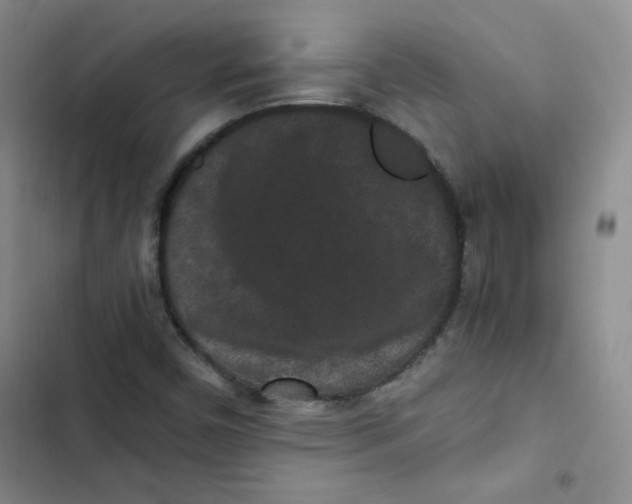 X0000102801450200809150917