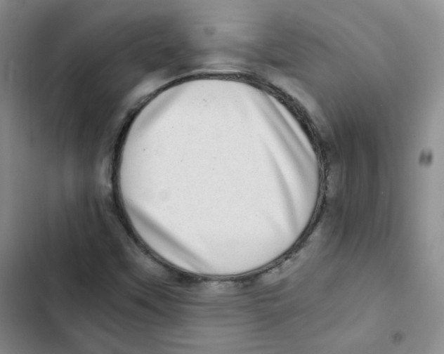 X0000102801451200809150917