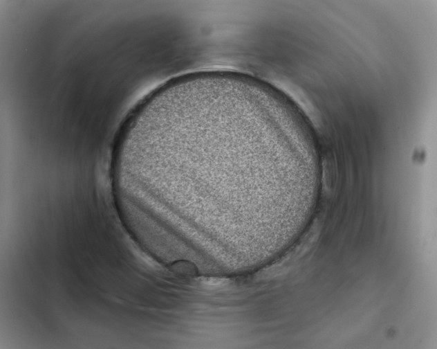 X0000102801452200809150917