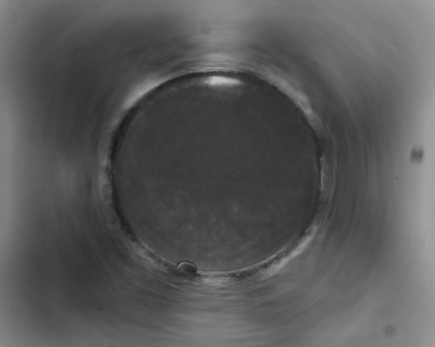 X0000102801453200809150917