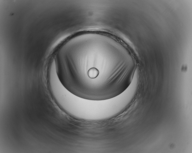 X0000102801456200809150917