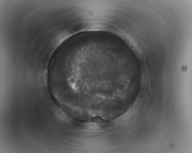 X0000102801457200809150917