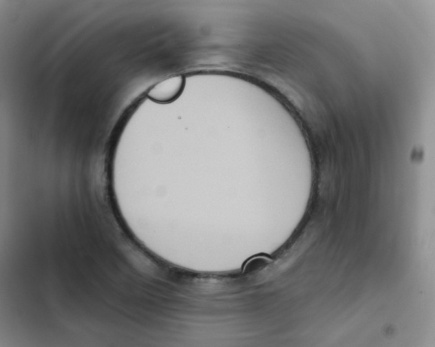 X0000102801458200809150917