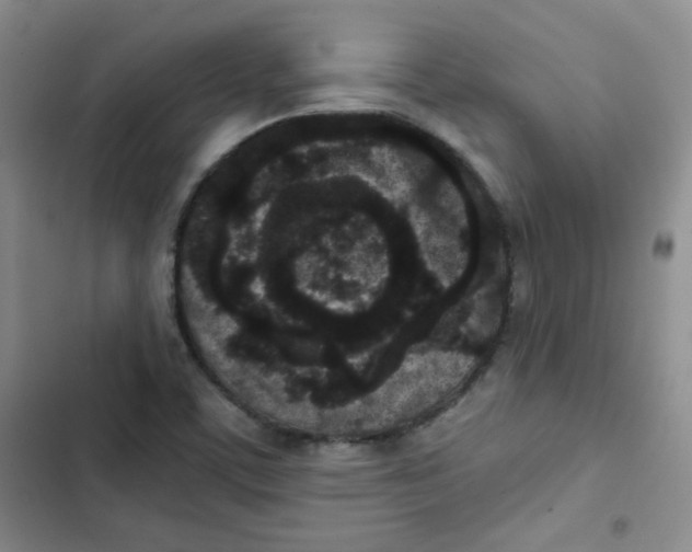 X0000102801459200809150917