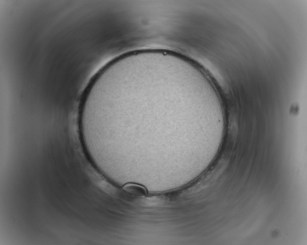 X0000102801460200809150917