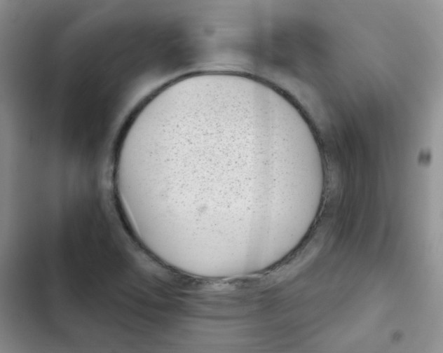 X0000102801462200809150917