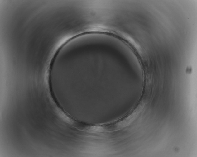 X0000102801463200809150917