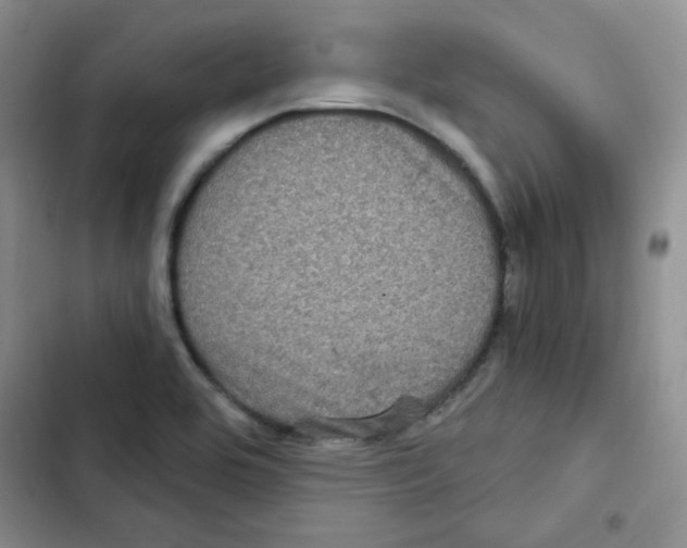 X0000102801464200809150917