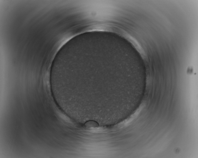 X0000102801465200809150917