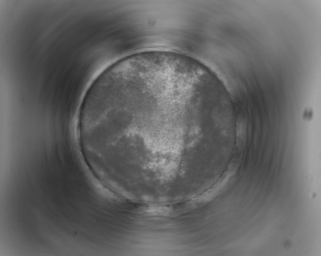 X0000102801466200809150917