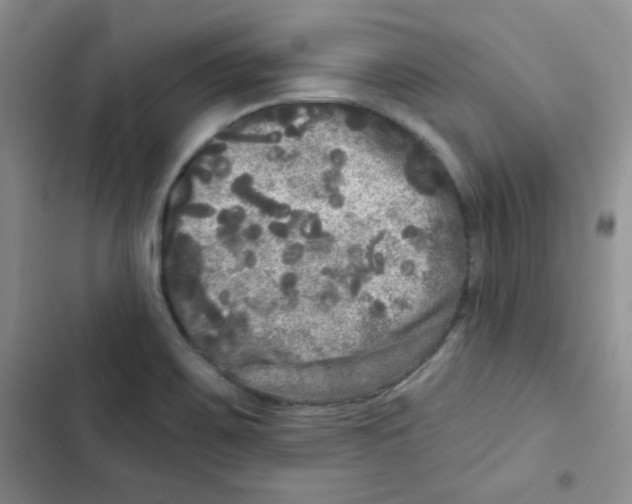 X0000102801467200809150917