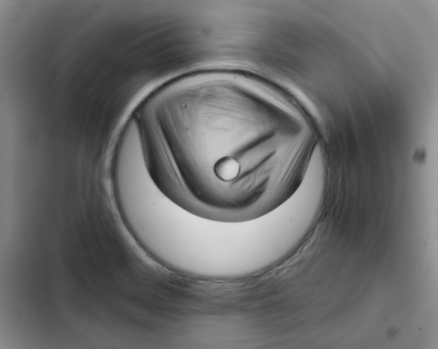 X0000102801468200809150917