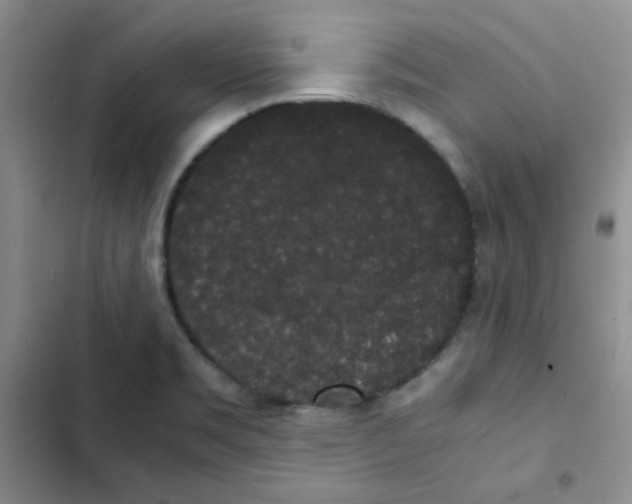 X0000102801469200809150917