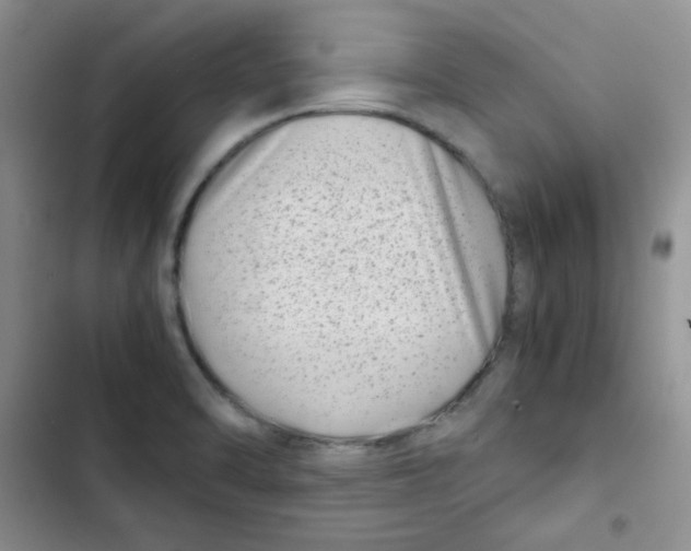 X0000102801470200809150917