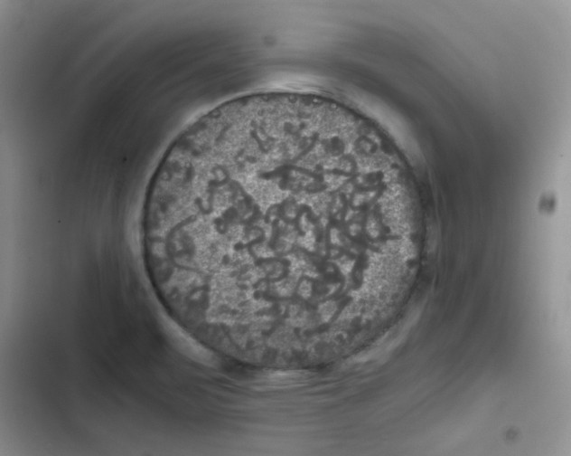 X0000102801471200809150917