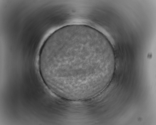 X0000102801472200809150917