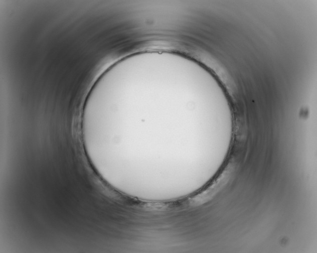 X0000102801473200809150917