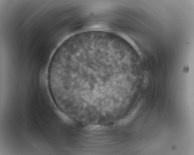 X0000102801474200809150917