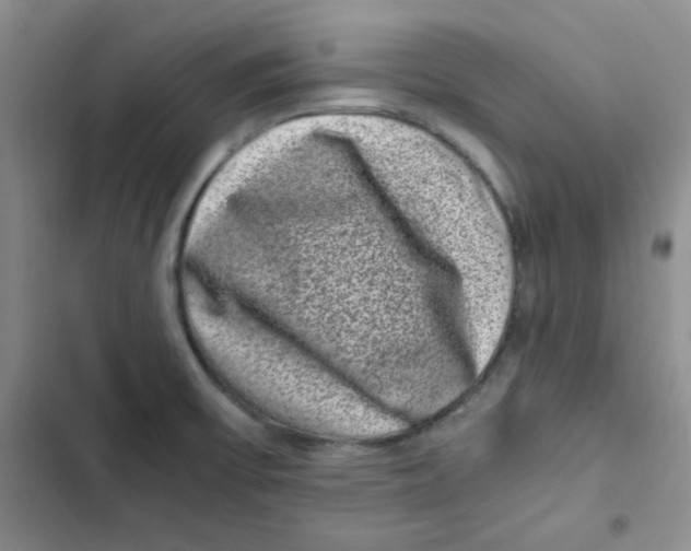 X0000102801475200809150917