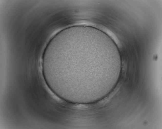 X0000102801476200809150917