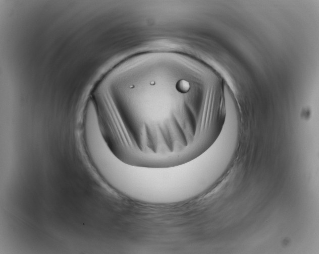 X0000102801477200809150917