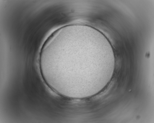 X0000102801478200809150917