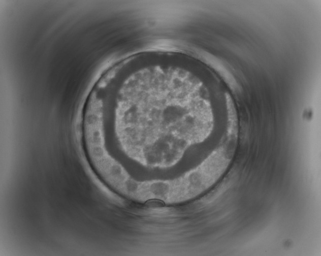 X0000102801479200809150917