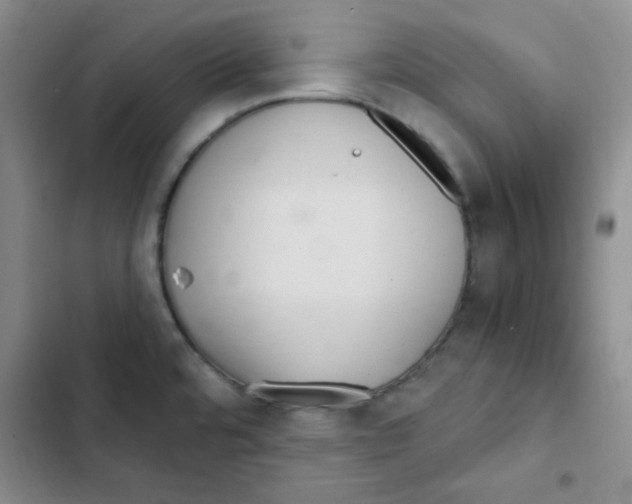 X0000102801480200809150917