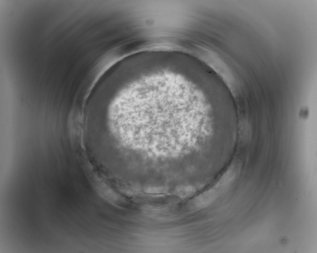 X0000102801481200809150917