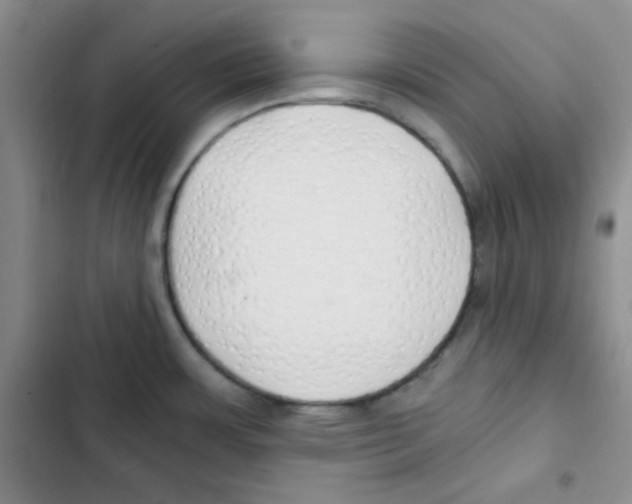 X0000102801483200809150917