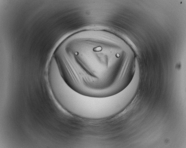 X0000102801484200809150917