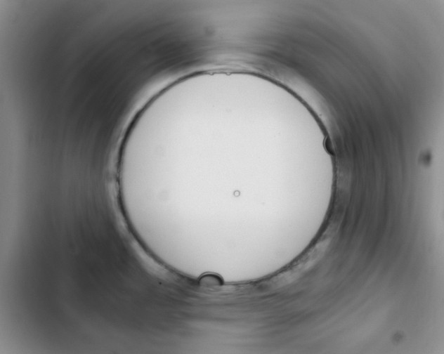 X0000102801485200809150917