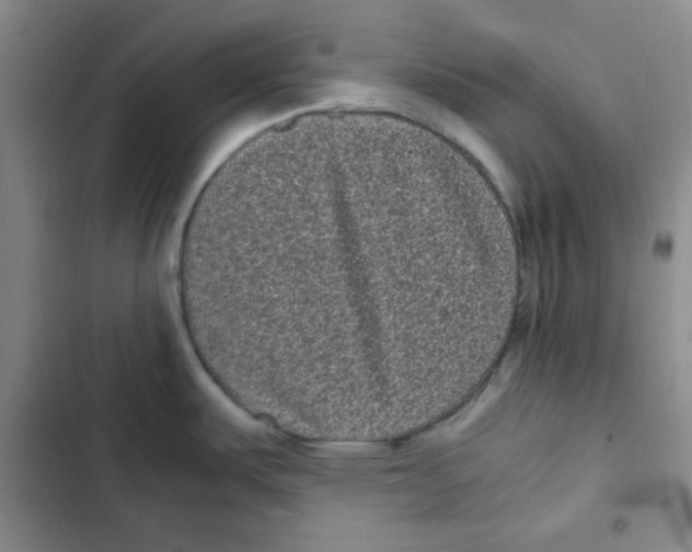 X0000102801487200809150917